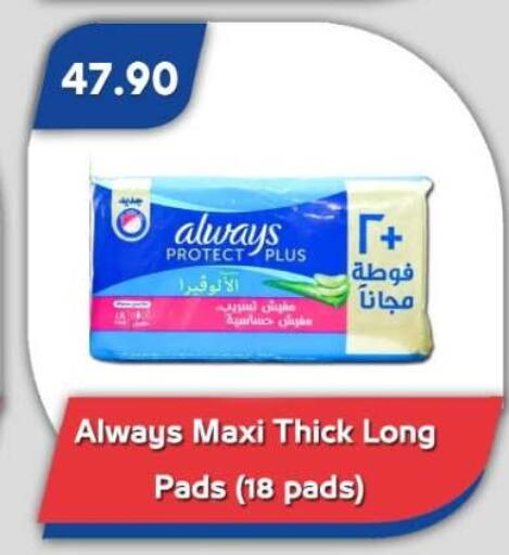 available at Bassem Market in Egypt - Cairo