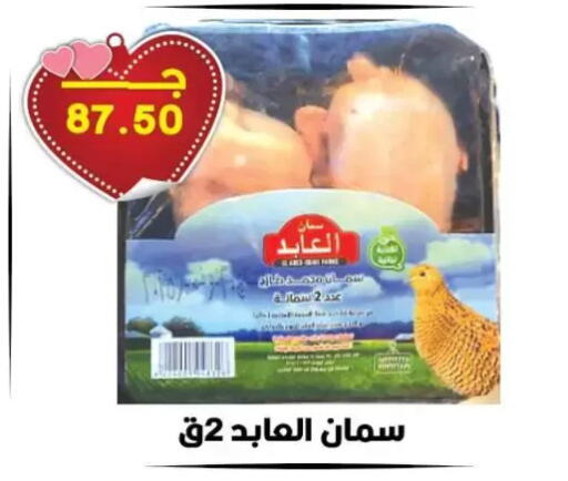 available at Hyper El Qudse in Egypt - Cairo