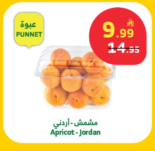 Apricot from Jordan available at الراية in مملكة العربية السعودية, السعودية, سعودية - خميس مشيط