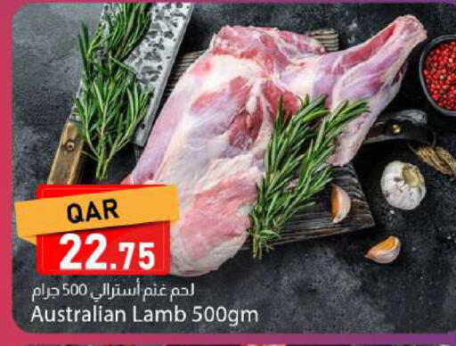 available at دانا ماركت in قطر - الريان