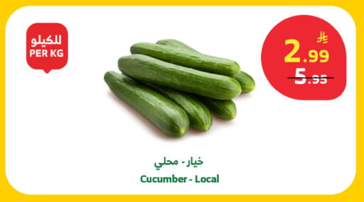 Cucumber available at الراية in مملكة العربية السعودية, السعودية, سعودية - خميس مشيط