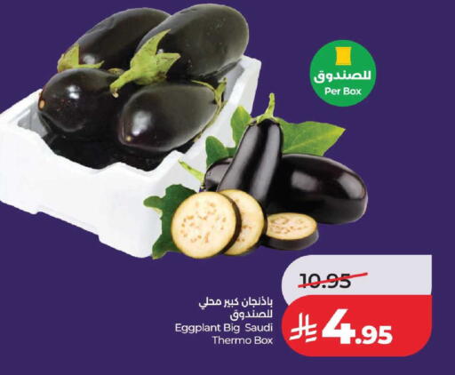 Eggplant from Saudi Arabia available at لولو هايبرماركت in مملكة العربية السعودية, السعودية, سعودية - الطائف