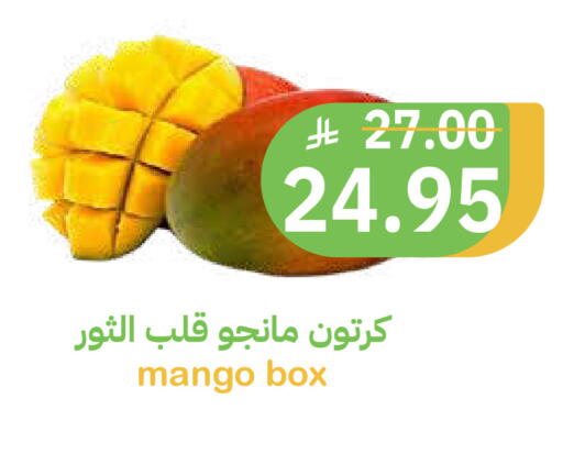 Mango available at أسواق قاطبة in مملكة العربية السعودية, السعودية, سعودية - بريدة