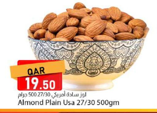 available at دانا ماركت in قطر - الخور