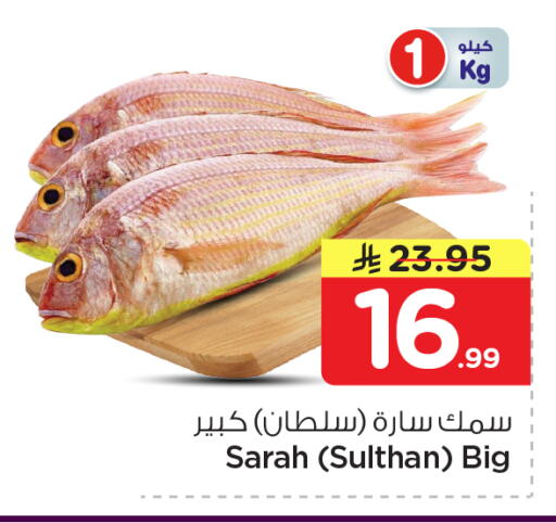 available at نستو in مملكة العربية السعودية, السعودية, سعودية - الرياض