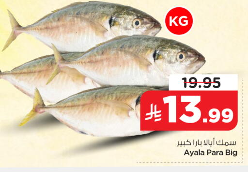 available at نستو in مملكة العربية السعودية, السعودية, سعودية - الخبر‎