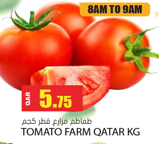 Tomato from Qatar available at جراند هايبرماركت in قطر - الدوحة