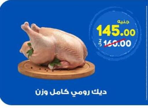 available at الوكيل هايبرماركت المنوفية in Egypt - القاهرة
