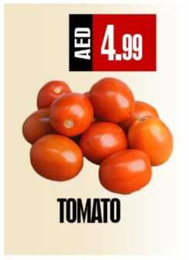 Tomato available at ريفييرا سوبرماركت in الإمارات العربية المتحدة , الامارات - أبو ظبي