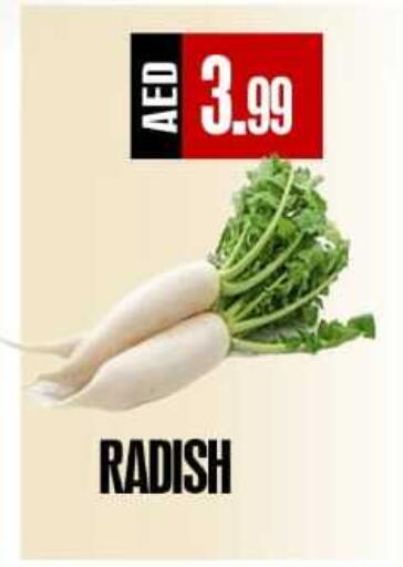 Radish available at ريفييرا سوبرماركت in الإمارات العربية المتحدة , الامارات - أبو ظبي