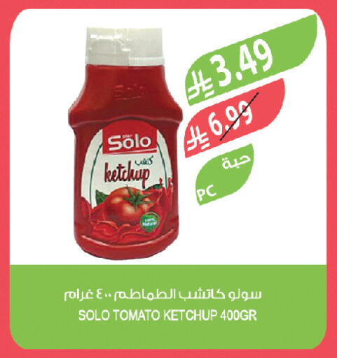 Tomato available at المزرعة in مملكة العربية السعودية, السعودية, سعودية - تبوك