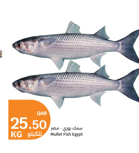 available at City Hypermarket in Qatar - Al Rayyan