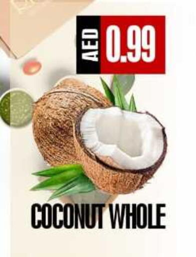 Coconut available at  RIVIERA SUPERMARKET L.L.C in UAE - Abu Dhabi