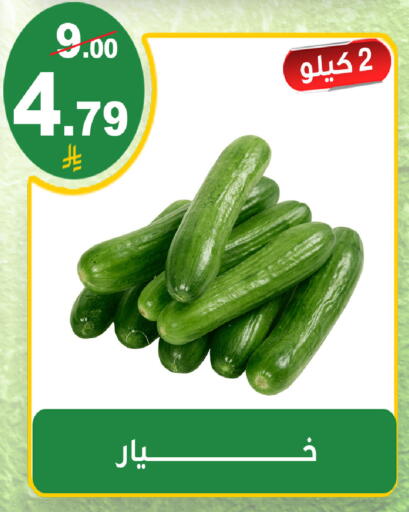 available at المتسوق الذكى in مملكة العربية السعودية, السعودية, سعودية - خميس مشيط