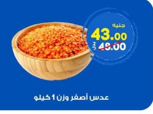 available at الوكيل هايبرماركت المنوفية in Egypt - القاهرة
