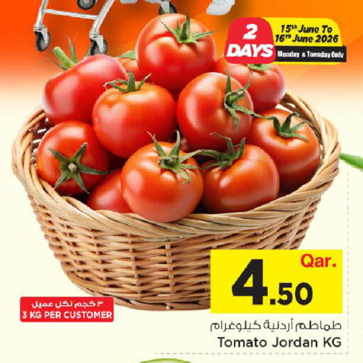 Tomato from Jordan available at مارك & سيف in قطر - الريان