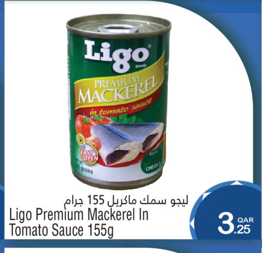 Tomato available at Megamart in Qatar - Al-Shahaniya