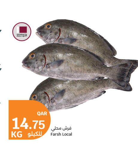 available at City Hypermarket in Qatar - Al Rayyan