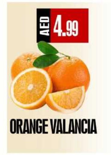 Orange from Valancia available at ريفييرا سوبرماركت in الإمارات العربية المتحدة , الامارات - أبو ظبي