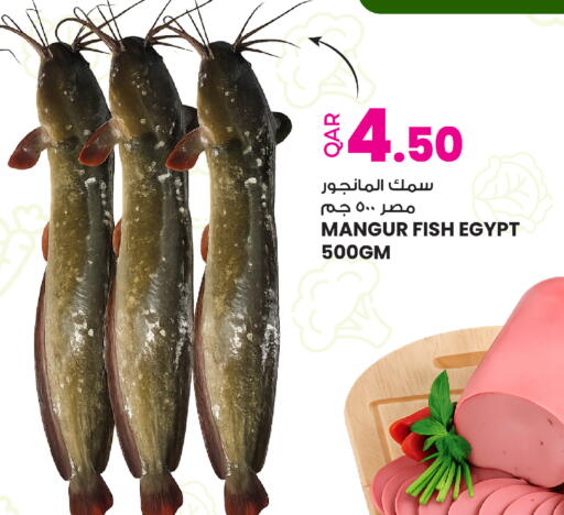 available at أنصار جاليري in قطر - الشمال