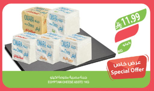 available at المزرعة in مملكة العربية السعودية, السعودية, سعودية - تبوك