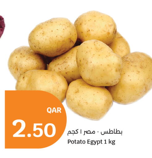 Potato from Egypt available at سيتي هايبرماركت in قطر - الخور