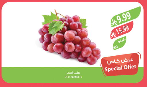 Grapes available at المزرعة in مملكة العربية السعودية, السعودية, سعودية - تبوك