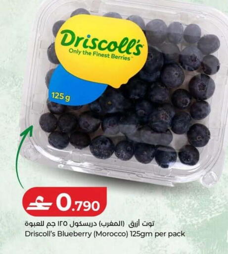 Blueberry BlueBerry from Morocco available at لولو هايبر ماركت in عُمان - صُحار‎