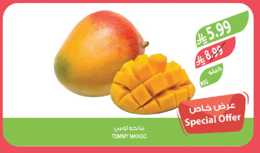 Mango available at Farm  in KSA, Saudi Arabia, Saudi - Jeddah