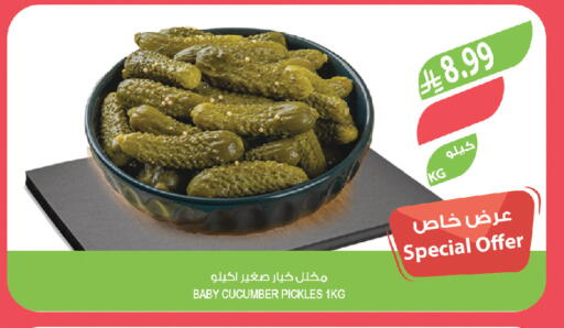 Cucumber available at المزرعة in مملكة العربية السعودية, السعودية, سعودية - جدة