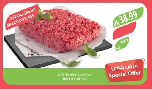 available at المزرعة in مملكة العربية السعودية, السعودية, سعودية - تبوك