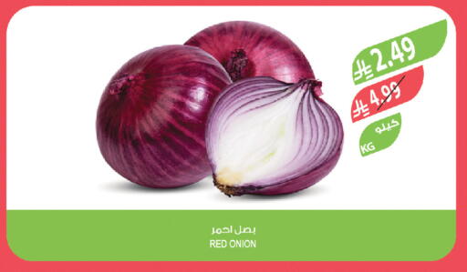 Onion available at Farm  in KSA, Saudi Arabia, Saudi - Jeddah