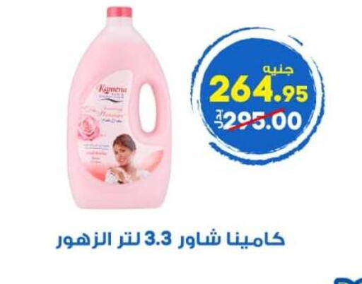 available at الوكيل هايبرماركت المنوفية in Egypt - القاهرة