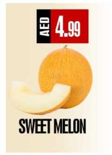 Melon available at ريفييرا سوبرماركت in الإمارات العربية المتحدة , الامارات - أبو ظبي