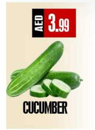Cucumber available at ريفييرا سوبرماركت in الإمارات العربية المتحدة , الامارات - أبو ظبي
