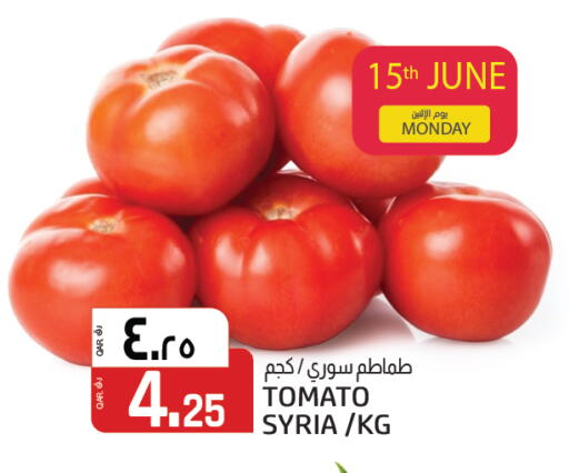 Tomato from Syria available at السعودية in قطر - الريان
