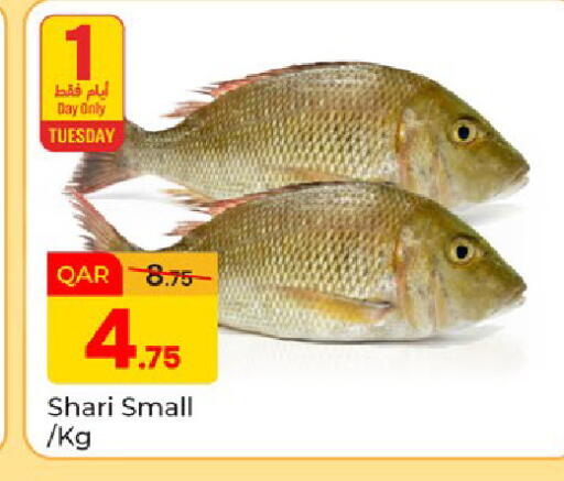 available at Paris Hypermarket in Qatar - Al-Shahaniya