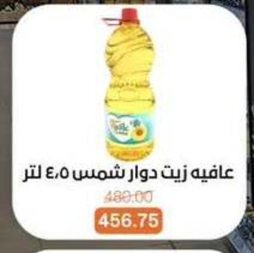 available at بيت الجملة in Egypt - القاهرة