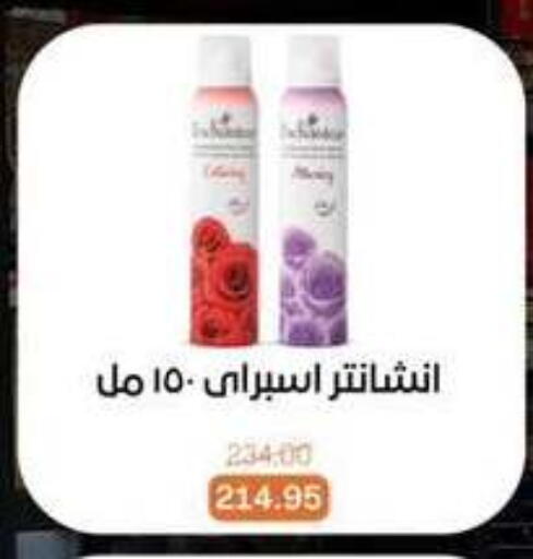 available at بيت الجملة in Egypt - القاهرة