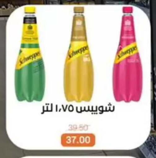 available at بيت الجملة in Egypt - القاهرة