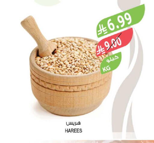 available at Farm  in KSA, Saudi Arabia, Saudi - Tabuk