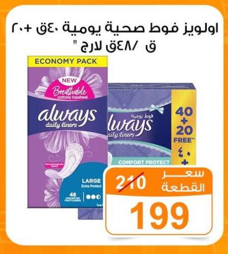 available at جملة ماركت in Egypt - القاهرة