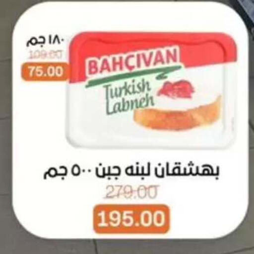 available at بيت الجملة in Egypt - القاهرة