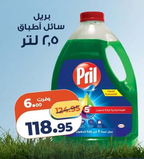available at كازيون in Egypt - القاهرة