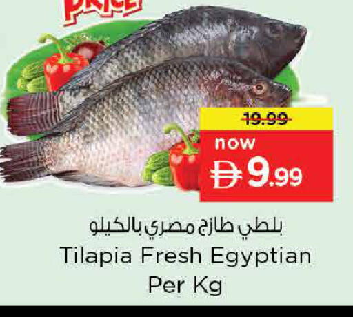 available at Nesto Hypermarket in UAE - Abu Dhabi