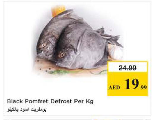 available at نستو هايبرماركت in الإمارات العربية المتحدة , الامارات - دبي