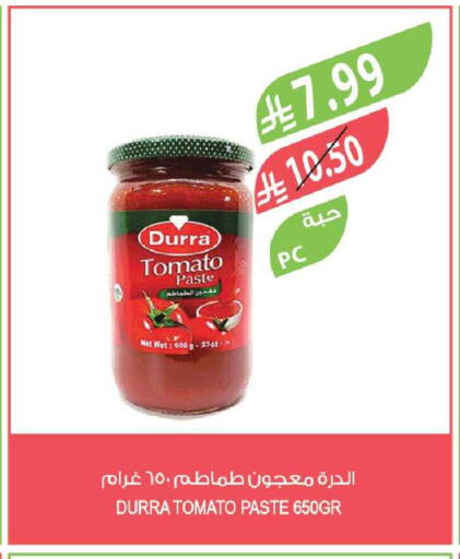 Tomato available at Farm  in KSA, Saudi Arabia, Saudi - Tabuk
