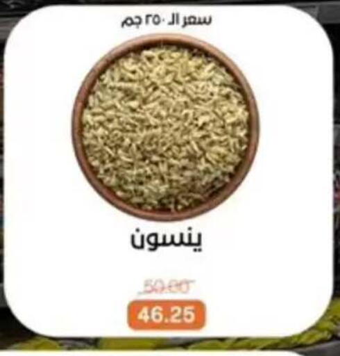 available at بيت الجملة in Egypt - القاهرة