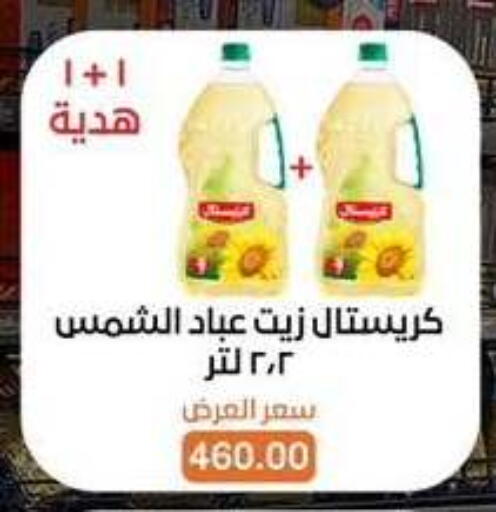 available at بيت الجملة in Egypt - القاهرة