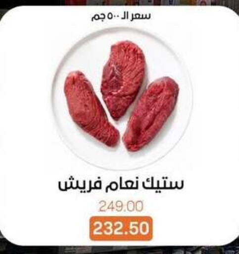 available at بيت الجملة in Egypt - القاهرة
